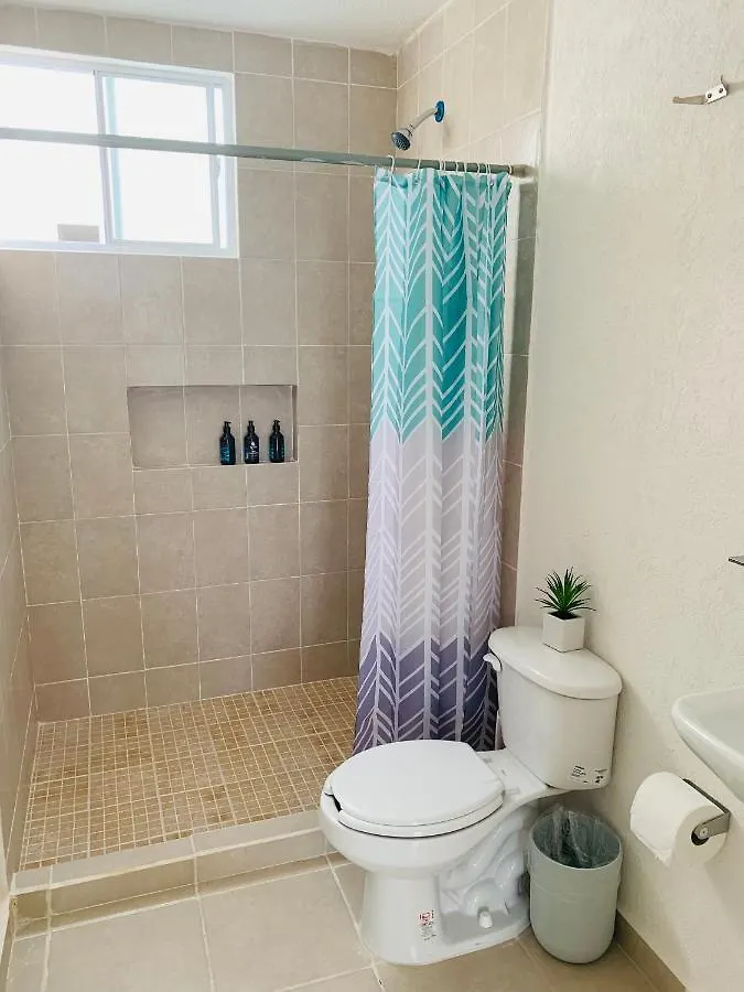 Homestay Franks House Luxury Apartment 