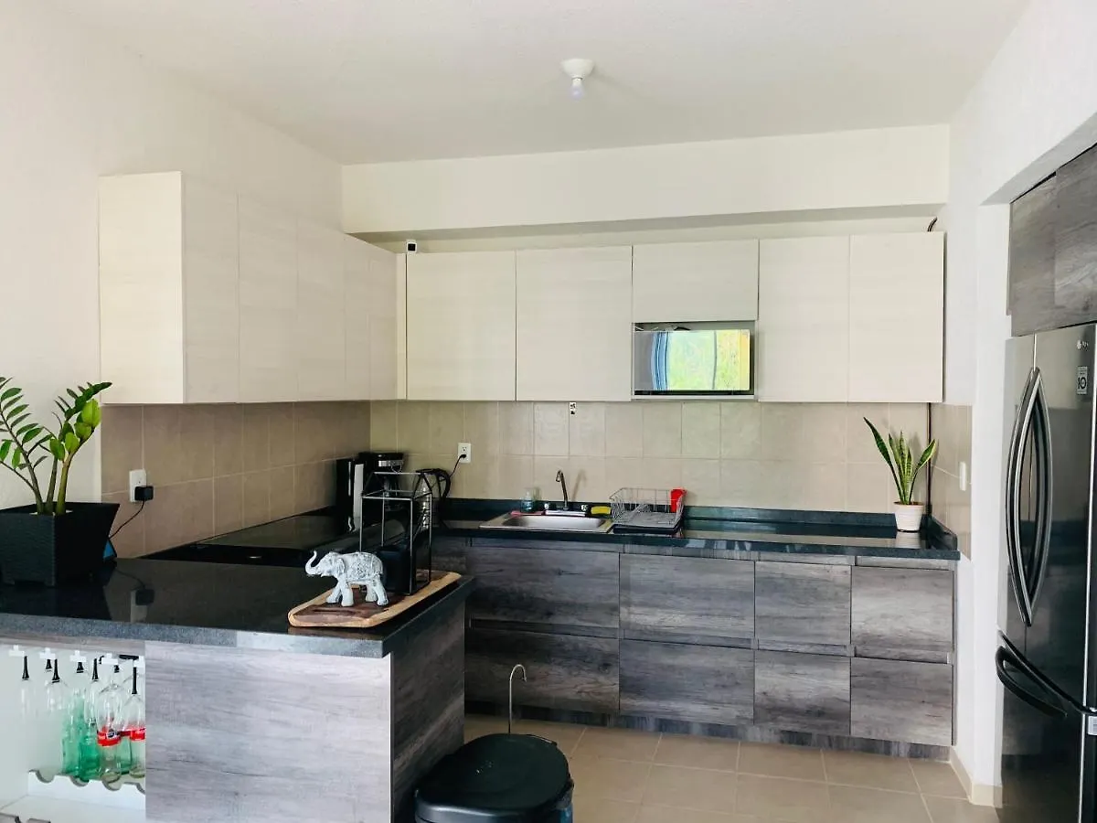 Franks House Luxury Apartment 