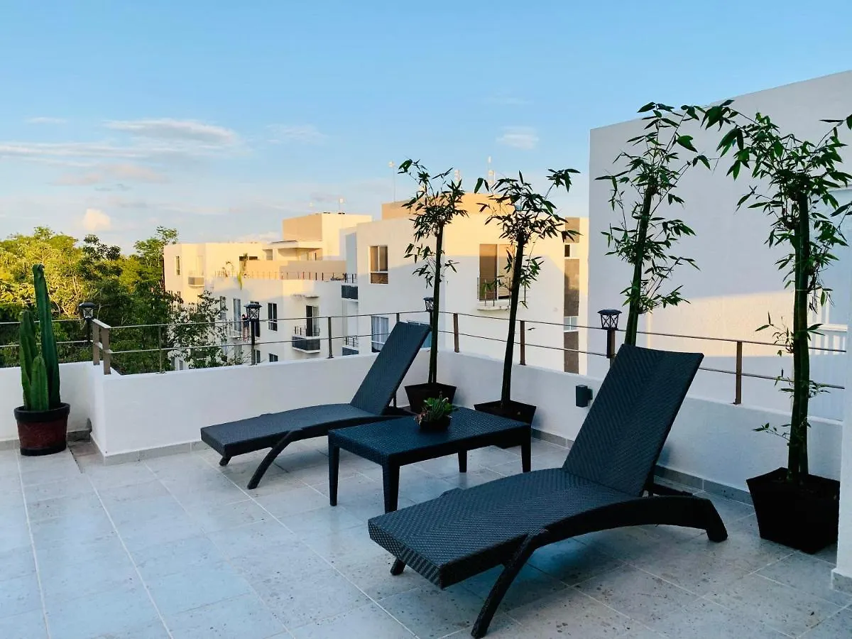 Franks House Luxury Apartment 